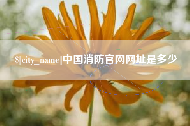 甘南中国消防官网网址是多少