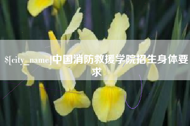 甘南中国消防救援学院招生身体要求