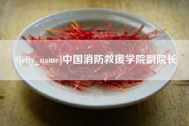甘南中国消防救援学院副院长