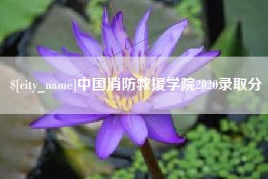 甘南中国消防救援学院2020录取分