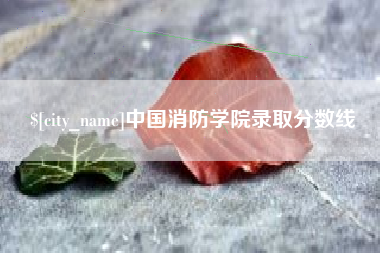 甘南中国消防学院录取分数线