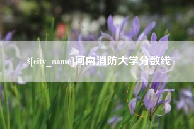甘南河南消防大学分数线