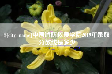 甘南中国消防救援学院2019年录取分数线是多少