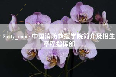 甘南中国消防救援学院简介及招生章程指挥部