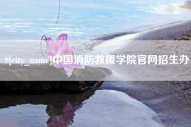 甘南中国消防救援学院官网招生办