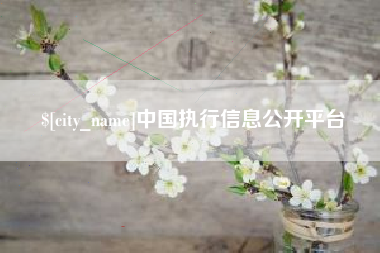 甘南中国执行信息公开平台