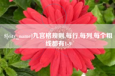 甘南九宫格规则,每行,每列,每个粗线都有1-9