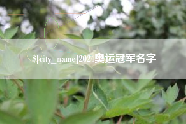 甘南2024奥运冠军名字