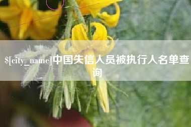 甘南中国失信人员被执行人名单查询