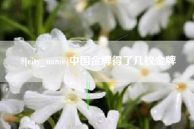 甘南中国金牌得了几枚金牌