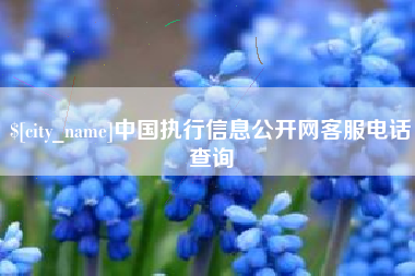 甘南中国执行信息公开网客服电话查询