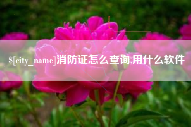 甘南消防证怎么查询,用什么软件