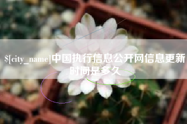 甘南中国执行信息公开网信息更新时间是多久