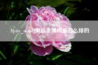 甘南奥运金牌榜是怎么排的