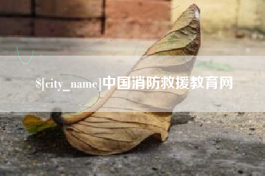 甘南中国消防救援教育网
