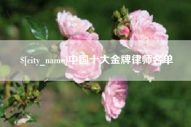 甘南中国十大金牌律师名单