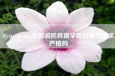 甘南中国消防救援学院对视力要求严格吗