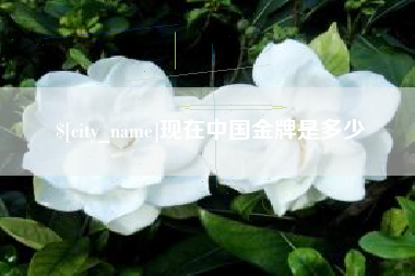 甘南现在中国金牌是多少
