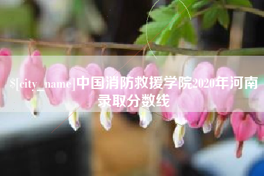 甘南中国消防救援学院2020年河南录取分数线