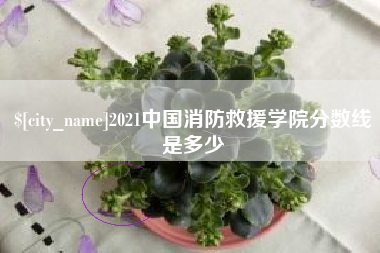 甘南2021中国消防救援学院分数线是多少