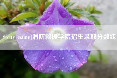 甘南消防救援学院招生录取分数线