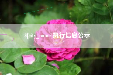 甘南执行信息公示