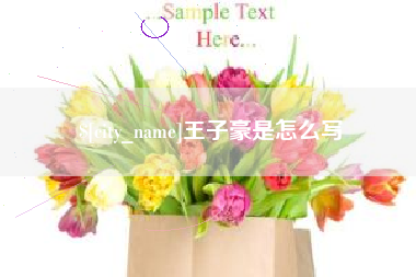 甘南王子豪是怎么写