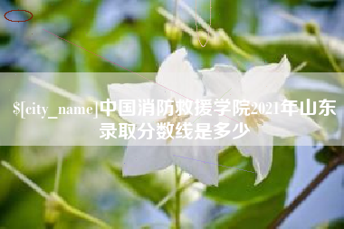 甘南中国消防救援学院2021年山东录取分数线是多少