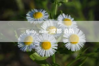 甘南成都 消防
