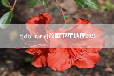 甘南谷歌卫星地图2025