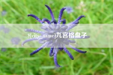 甘南九宫格盘子
