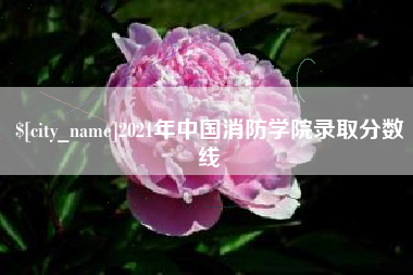 甘南2021年中国消防学院录取分数线