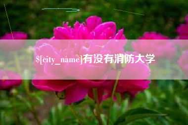 甘南有没有消防大学