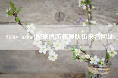 甘南国家消防救援队伍报名网址