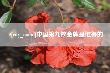 甘南中国第九枚金牌是谁得的