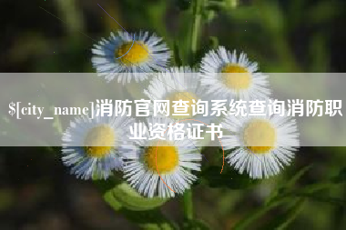 甘南消防官网查询系统查询消防职业资格证书