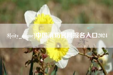 甘南中国消防官网报名入口2024