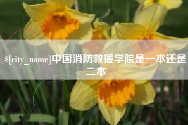 甘南中国消防救援学院是一本还是二本