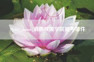 甘南消防救援学院报考条件