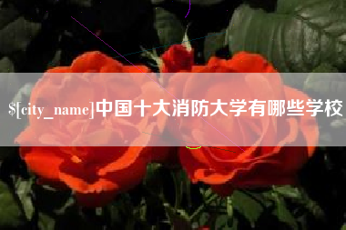 甘南中国十大消防大学有哪些学校