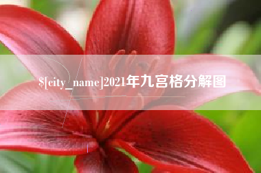 甘南2021年九宫格分解图