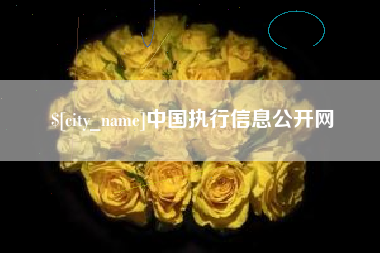 甘南中国执行信息公开网