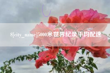 甘南5000米世界纪录平均配速