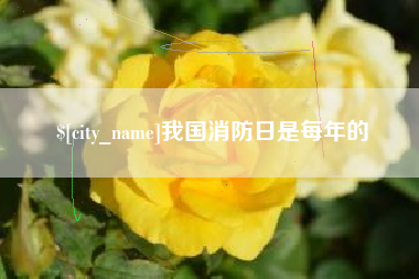 甘南我国消防日是每年的