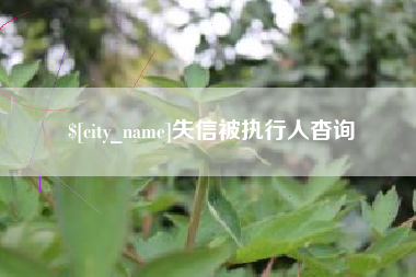 甘南失信被执行人杳询