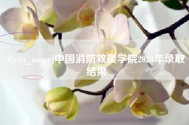 甘南中国消防救援学院2020年录取结果