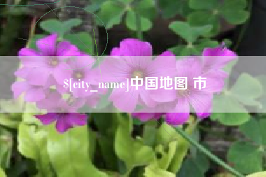 甘南中国地图 市