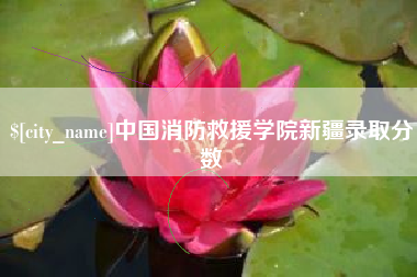 甘南中国消防救援学院新疆录取分数