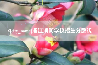 甘南浙江消防学校招生分数线