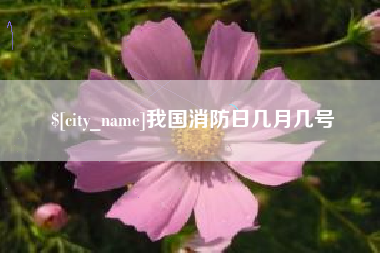 甘南我国消防日几月几号